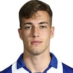 Luka Sučić